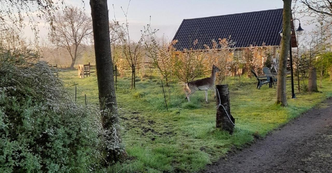 B&B Landgoed Sonneborghe Kollumerzwaag Dış mekan fotoğraf