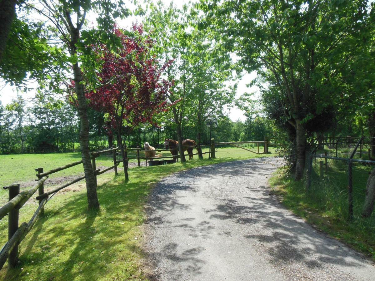 B&B Landgoed Sonneborghe Kollumerzwaag Dış mekan fotoğraf
