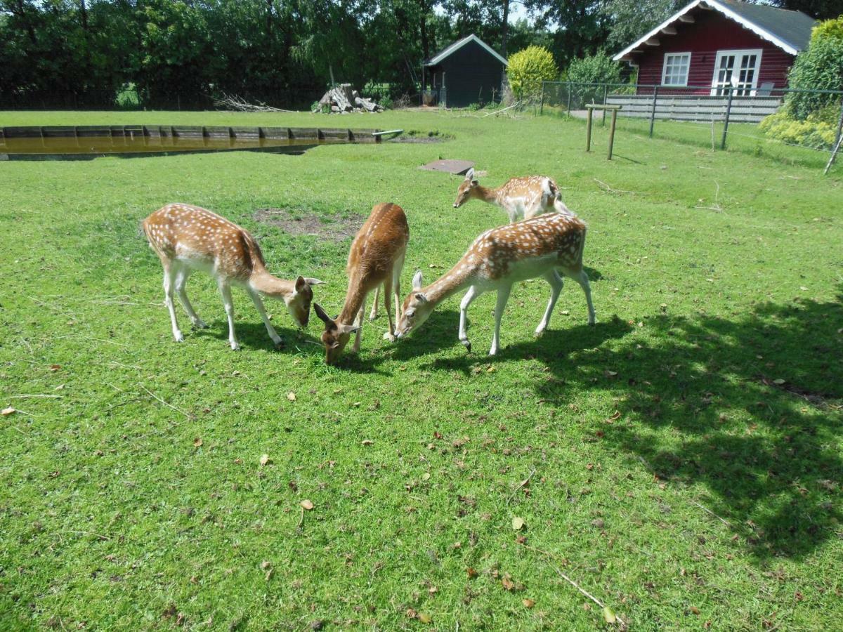 B&B Landgoed Sonneborghe Kollumerzwaag Dış mekan fotoğraf